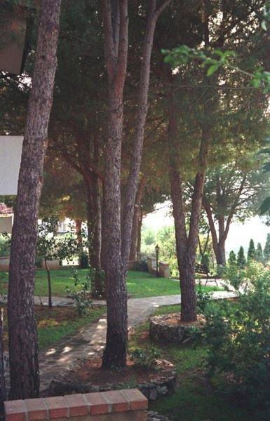 Villaggio Pineta Petto Bianco Capo Vaticano Ngoại thất bức ảnh