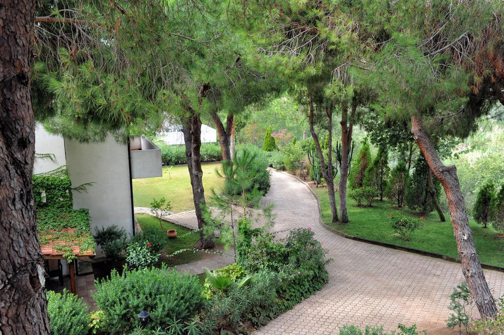 Villaggio Pineta Petto Bianco Capo Vaticano Ngoại thất bức ảnh